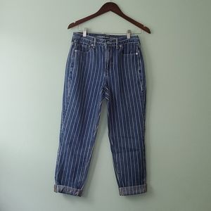 American Eagle stiped denim pants